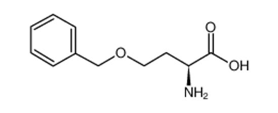 Picture of (2S)-2-amino-4-phenylmethoxybutanoic acid