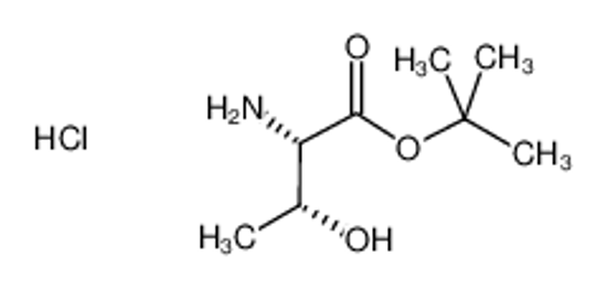 Picture of (2S,3R)-tert-Butyl 2-amino-3-hydroxybutanoate hydrochloride
