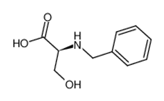 Picture of L-N-Benzylserine