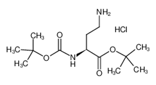 Picture of BOC-DAB-OTBU HCL