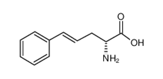 Picture of D-Styrylalanine