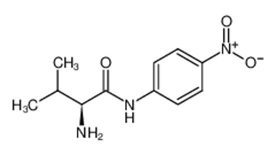 Picture of (2S)-2-amino-3-methyl-N-(4-nitrophenyl)butanamide