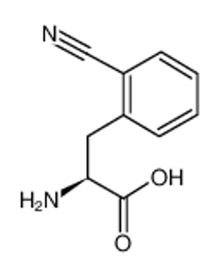 Picture of (2S)-2-amino-3-(2-cyanophenyl)propanoic acid
