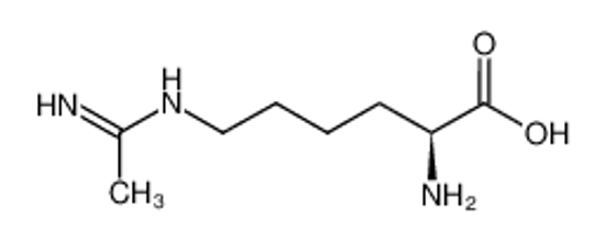 Picture of N-(5-AMINO-5-CARBOXYPENTYL)-ACETAMIDINE