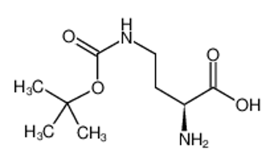 Picture of (2S)-2-amino-4-[(2-methylpropan-2-yl)oxycarbonylamino]butanoic acid