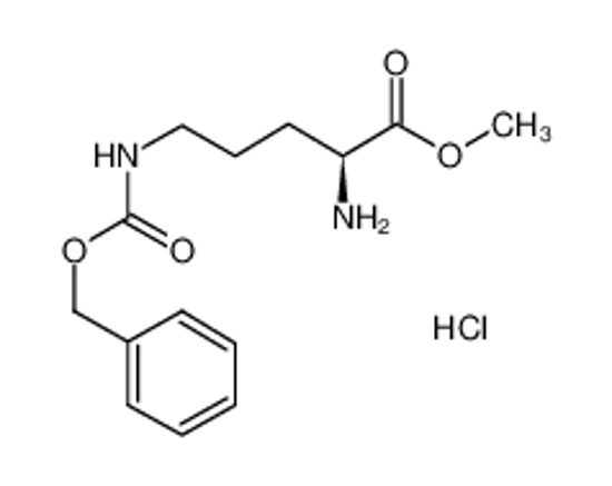 Picture of H-ORN(Z)-OME HCL