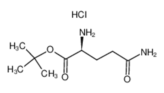 Picture of L-Glutamine T-Butyl Ester Hydrochloride