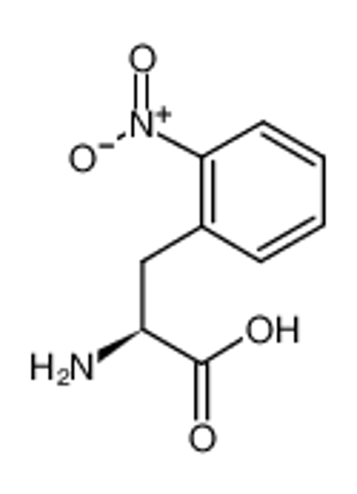 Picture of L-2-NITROPHENYLALANINE