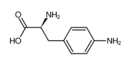 Picture of 4-Aminophenylalanine