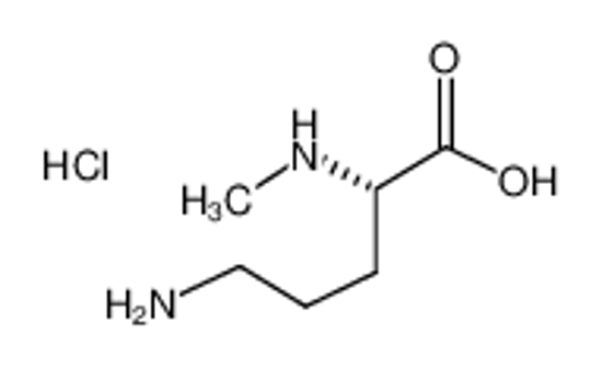 Picture of (2S)-5-amino-2-(methylamino)pentanoic acid