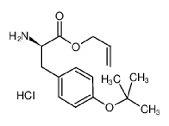 Picture of H-D-TYR(TBU)-ALLYL ESTER HCL