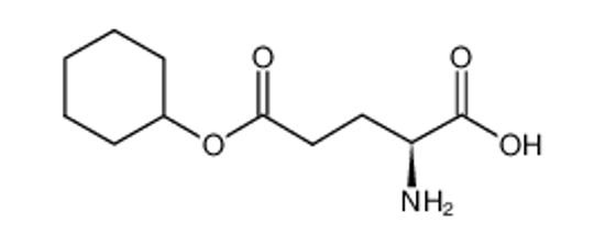 Picture of L-Glutamic acid 5-cyclohexyl ester