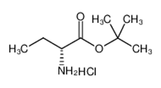 Picture of H-D-ABU-OTBU HCL