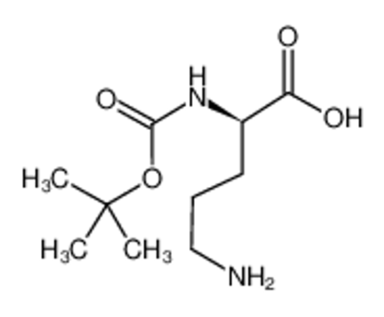 Picture of (2R)-5-amino-2-[(2-methylpropan-2-yl)oxycarbonylamino]pentanoic acid