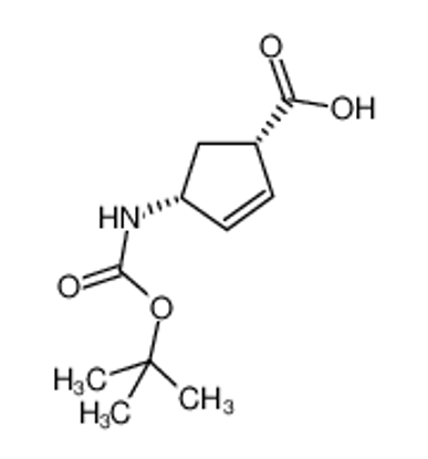Picture of (-)-(1S,4R)-N-BOC-4-AMINOCYCLOPENT-2-ENECARBOXYLIC ACID
