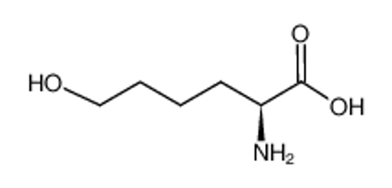 Picture of L-6-Hydroxy Norleucine