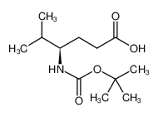 Picture of (2R)-2-amino-5-methyl-4-[(2-methylpropan-2-yl)oxycarbonyl]hexanoic acid