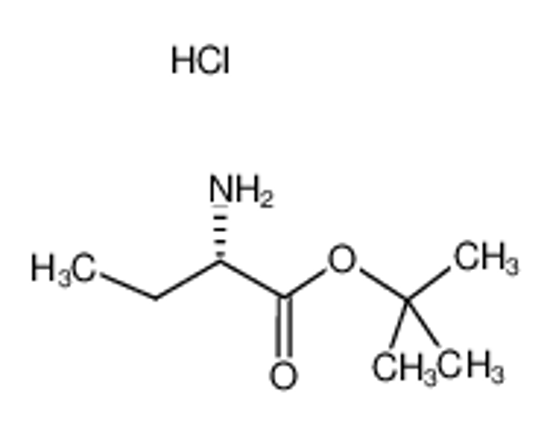Picture of tert-butyl (2S)-2-aminobutanoate,hydrochloride