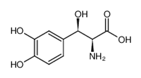 Picture of DL-threo-Droxidopa