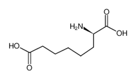 Picture of D-α-AMINOSUBERIC ACID