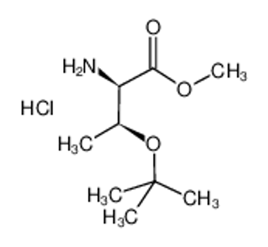 Picture of H-D-THR(TBU)-OME HCL