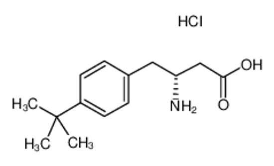 Imagem de (R)-3-AMINO-4-(4-TERT-BUTYL-PHENYL)-BUTYRIC ACID HCL