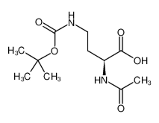 Picture of (2S)-2-acetamido-4-[(2-methylpropan-2-yl)oxycarbonylamino]butanoic acid