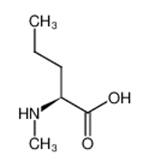 Picture of (2S)-2-(methylamino)pentanoic acid