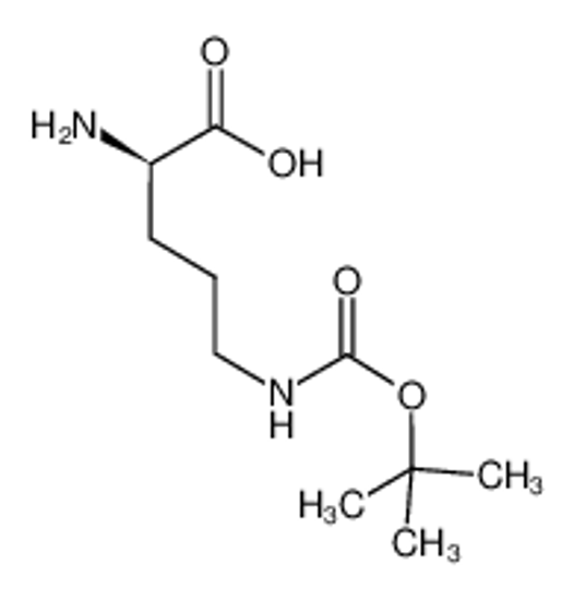 Picture of (2R)-2-amino-5-[(2-methylpropan-2-yl)oxycarbonylamino]pentanoic acid