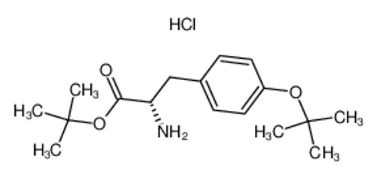 Picture of tert-butyl (2S)-2-amino-3-[4-[(2-methylpropan-2-yl)oxy]phenyl]propanoate,hydrochloride