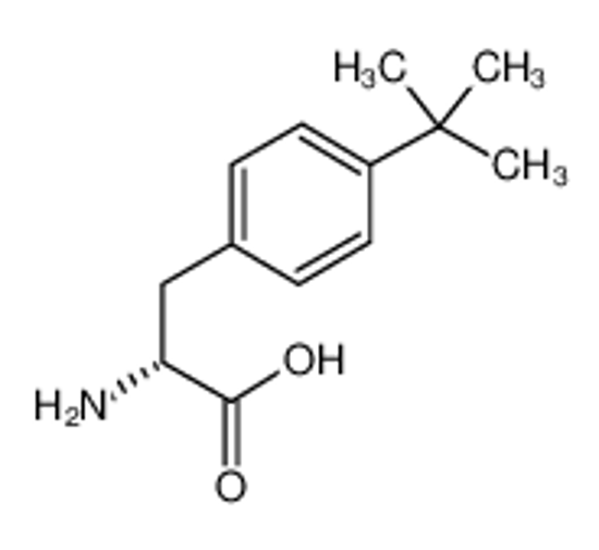 Picture of (2R)-2-amino-3-(4-tert-butylphenyl)propanoic acid
