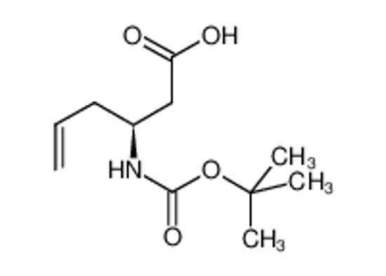 Picture of Boc-(S)-3-amino-5-hexenoic acid