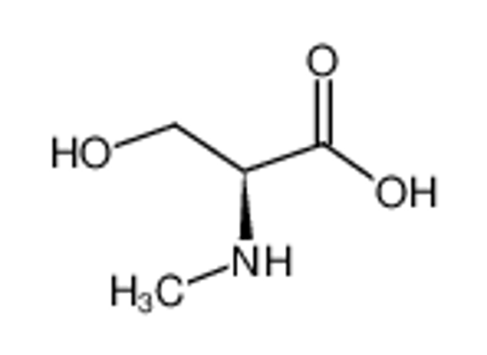 Picture of H-L-MESER-OH HCL