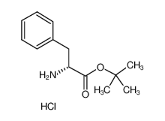Picture of tert-butyl (2R)-2-amino-3-phenylpropanoate,hydrochloride