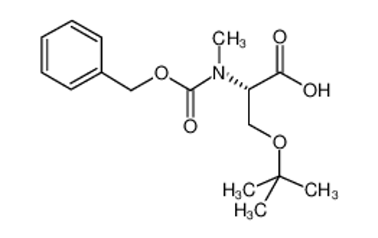 Picture of Z-N-ME-SER(TBU)-OH DCHA