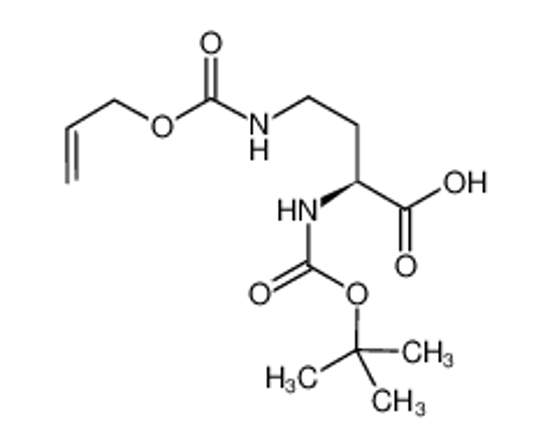 Picture of (2S)-2-[(2-methylpropan-2-yl)oxycarbonylamino]-4-(prop-2-enoxycarbonylamino)butanoic acid