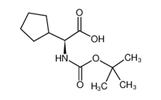 Picture of (S)-2-((tert-Butoxycarbonyl)amino)-2-cyclopentylacetic acid