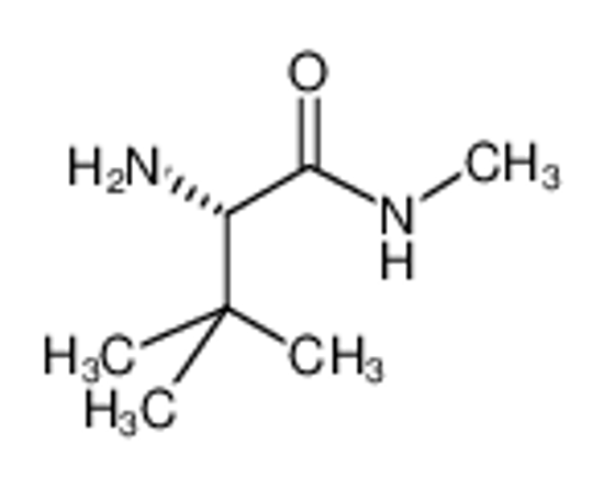 Picture of 2-amino-N,3,3-trimethylbutanamide