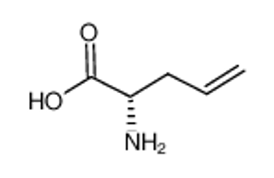 Picture of (S)-(-)-2-Amino-4-Pentenoic Acid