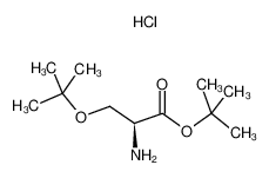 Picture of H-SER(TBU)-OTBU HCL
