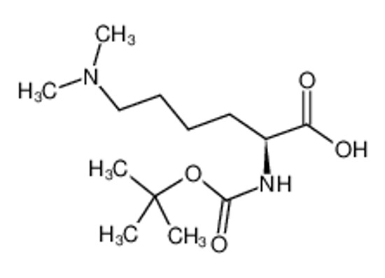 Picture of (2S)-6-(dimethylamino)-2-[(2-methylpropan-2-yl)oxycarbonylamino]hexanoic acid