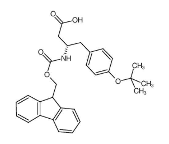 Imagem de FMOC-L-β-HOMOTYROSINE(OTBU)