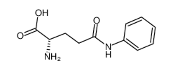 Picture of (2S)-2-amino-5-anilino-5-oxopentanoic acid