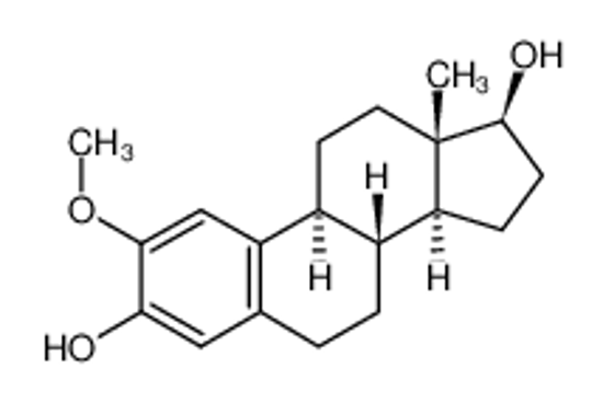 Imagem de 2-methoxy-17β-estradiol
