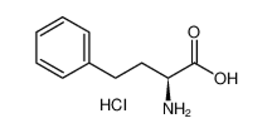 Picture of L-Homophenylalanine hydrochloride