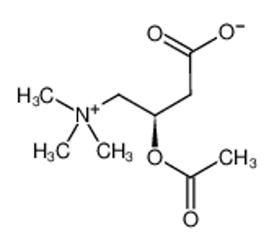 Picture of ACETYL-L-CARNITINE