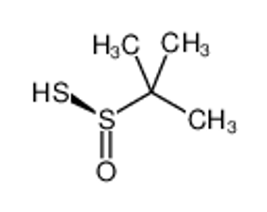 Picture of (S)-tert-Butanethiosulfinate