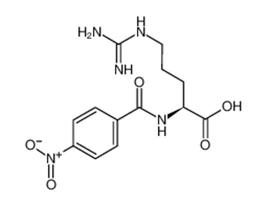 Picture of (2S)-5-(diaminomethylideneamino)-2-[(4-nitrobenzoyl)amino]pentanoic acid