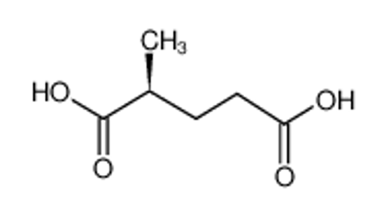 Imagem de (<i>S</i>)-(+)-2-Methylglutaric Acid