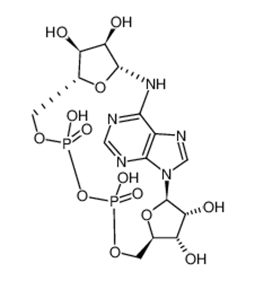 Изображение cyclic ADP-ribose